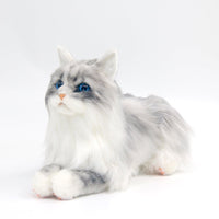 Plush Grey Hair Cat with Blue Eyes Order to Make