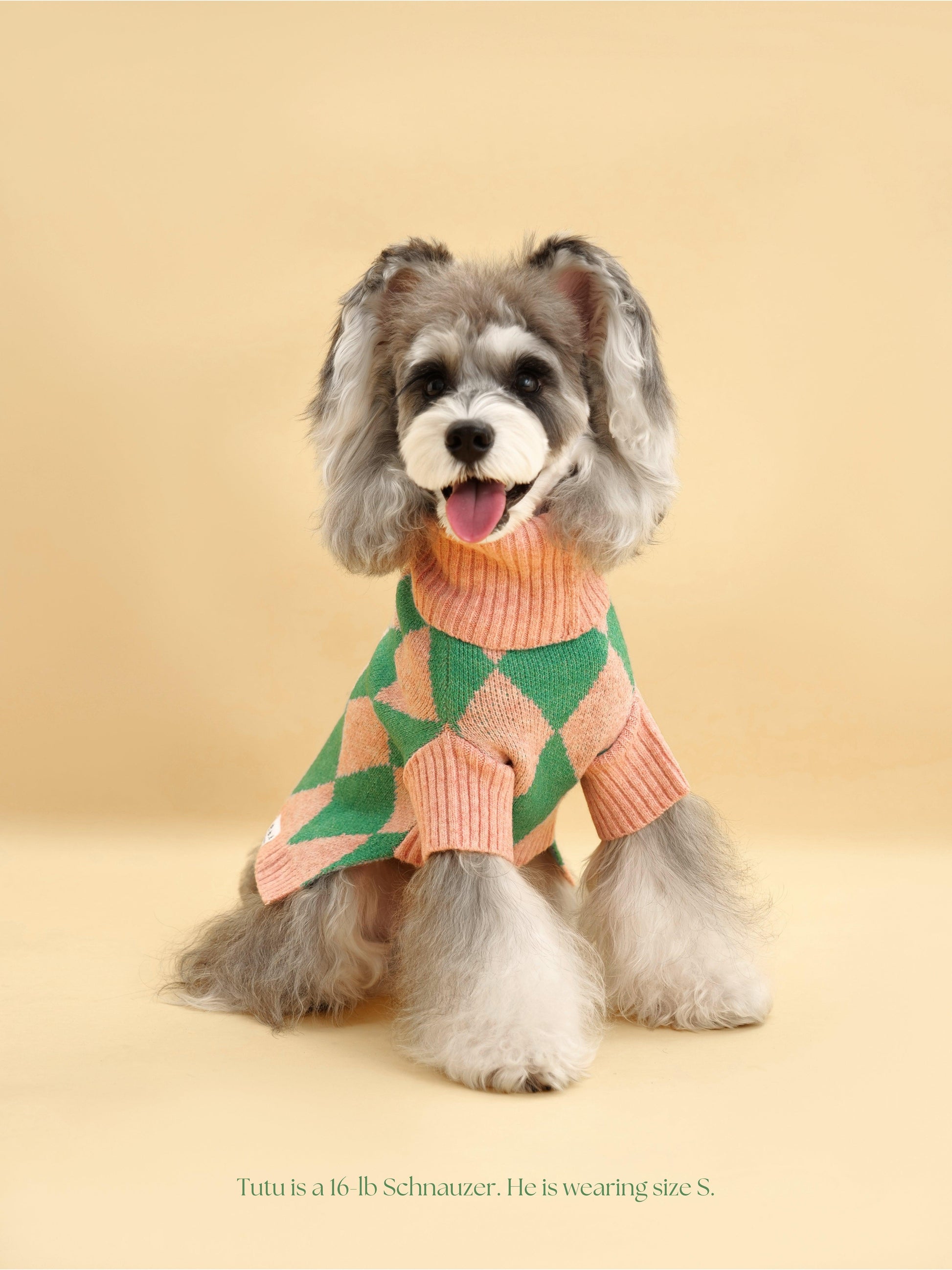 Sunday Brunch in Brooklyn Sweater - Dog Sweater - BarkBarkBaby