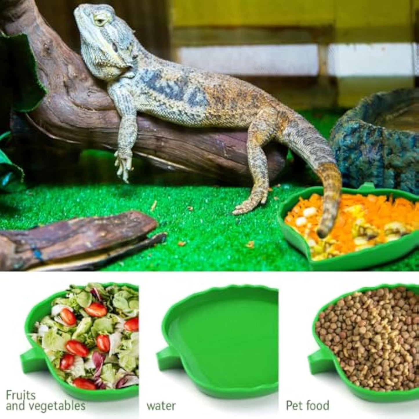 Leaf Reptile Food Bowl Set - Natural Terrarium Water Dishes