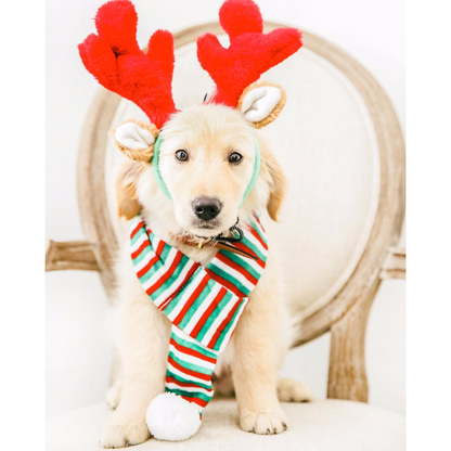 Reindeer Antlers Dog Headband
