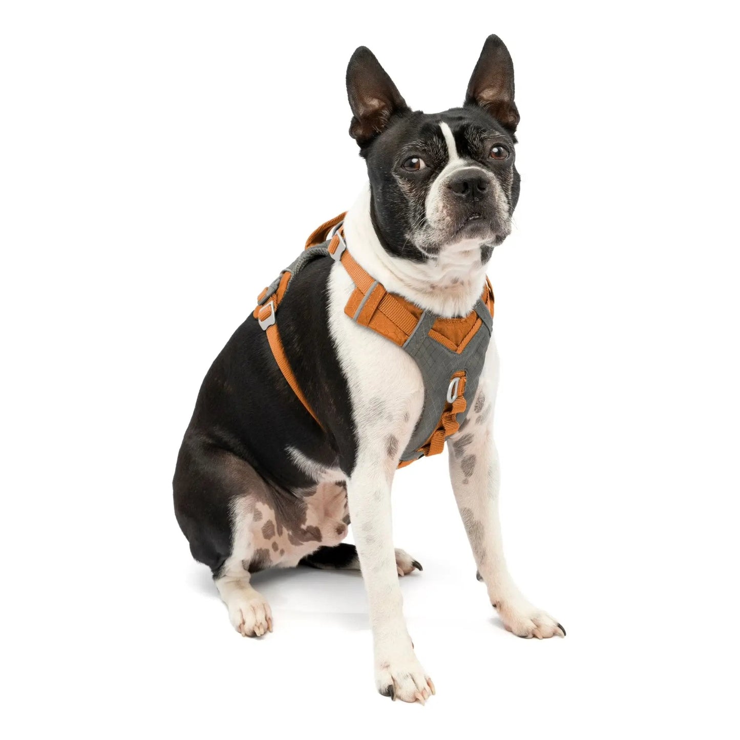 Journey Air Dog Harness, Vest Harnesses for Dogs, Pet Hiking Harness for Running & Walking, Reflective, Padded, Includes Control Handle, No Pull Front Clip (Orange, Small)