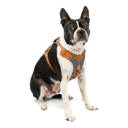 Journey Air Dog Harness, Vest Harnesses for Dogs, Pet Hiking Harness for Running & Walking, Reflective, Padded, Includes Control Handle, No Pull Front Clip (Orange, Small)