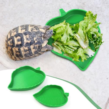 Leaf Reptile Food Bowl Set - Natural Terrarium Water Dishes