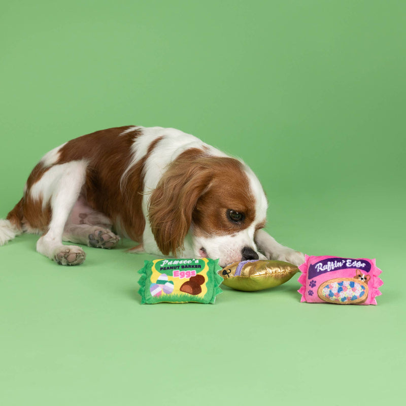 Easter Eggstra Sweets Small Dog Toy Set - 3 Pc