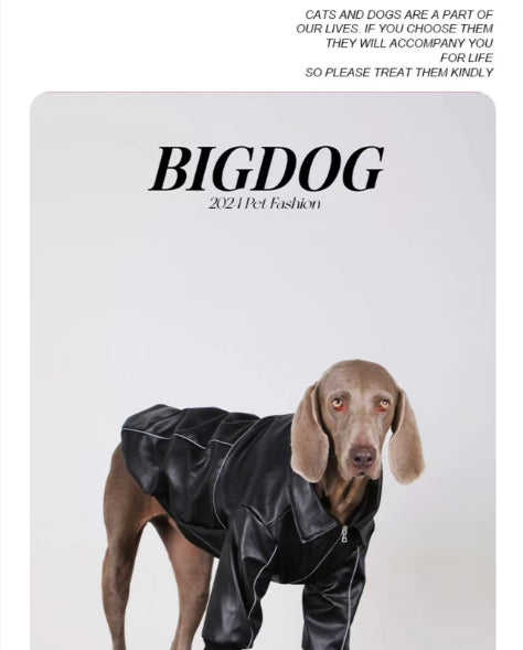 Dog Clothes For Medium To Large Breeds Autumn Black Leather