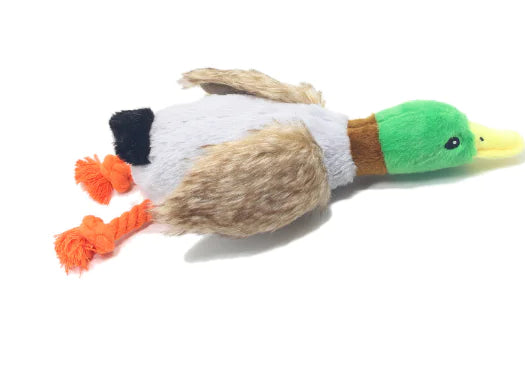 Quack Play Plush Dog Toy