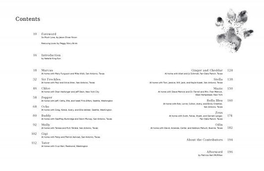 At Home with Dogs by Schiffer Publishing