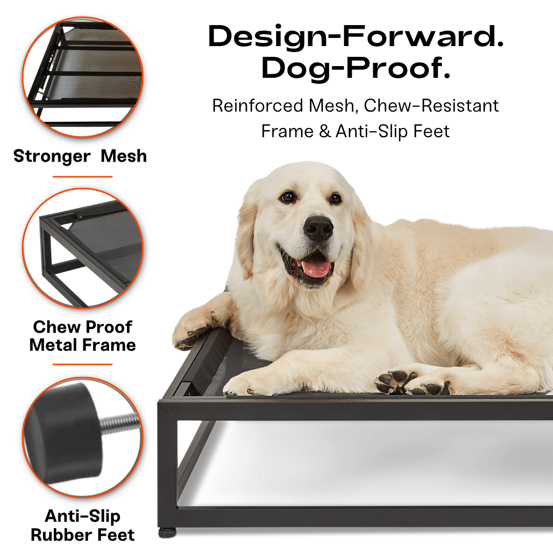 The Up Pup Dog Bed