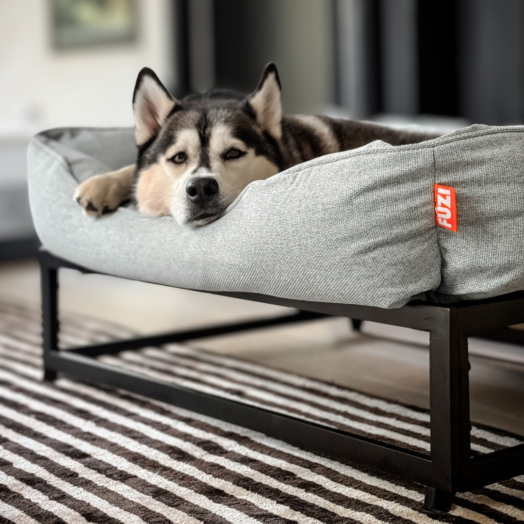 The FÜZI Dog Bed