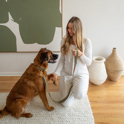 Tilley + Me Hemp Cotton Dog Collar – Durable, Adjustable,