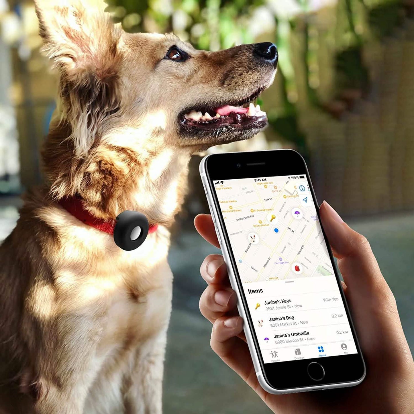 2-Pack: Air Tag Dog Collar Holder