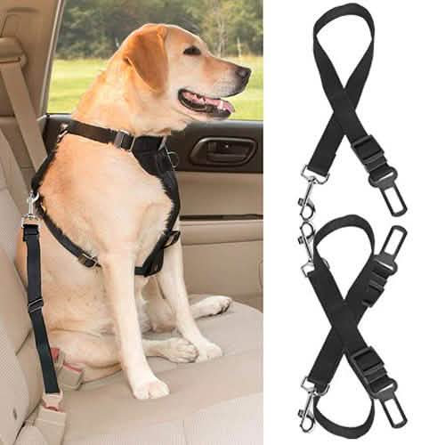 2-Pack: Multipurpose Pet Safety