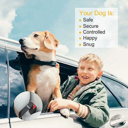 2-Pack: Multipurpose Pet Safety
