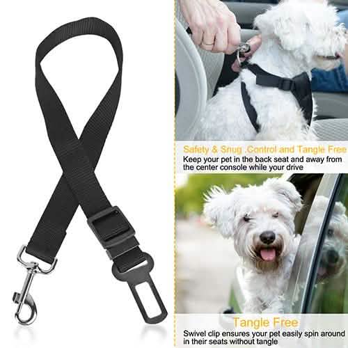 2-Pack: Multipurpose Pet Safety