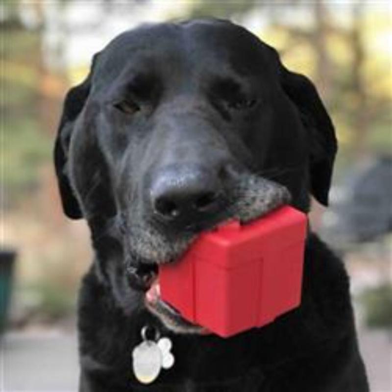 Rubber Gift Box Red Treat Dispensor Dog Toy