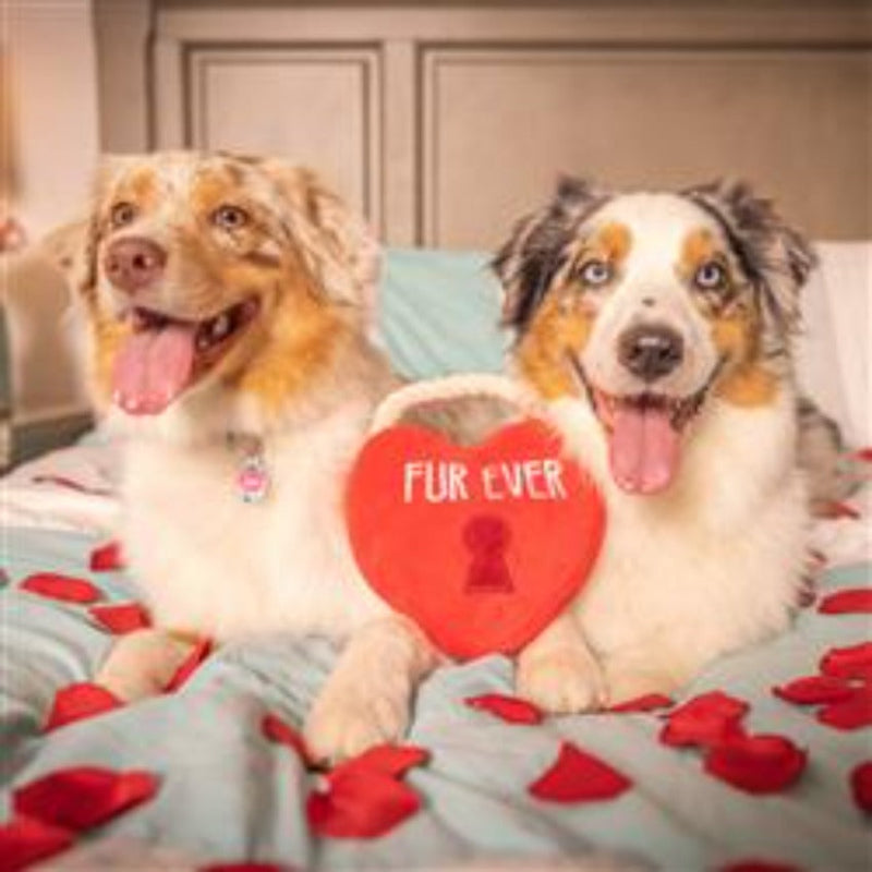 Fur Ever Lock Red Heart Plush Dog Toy
