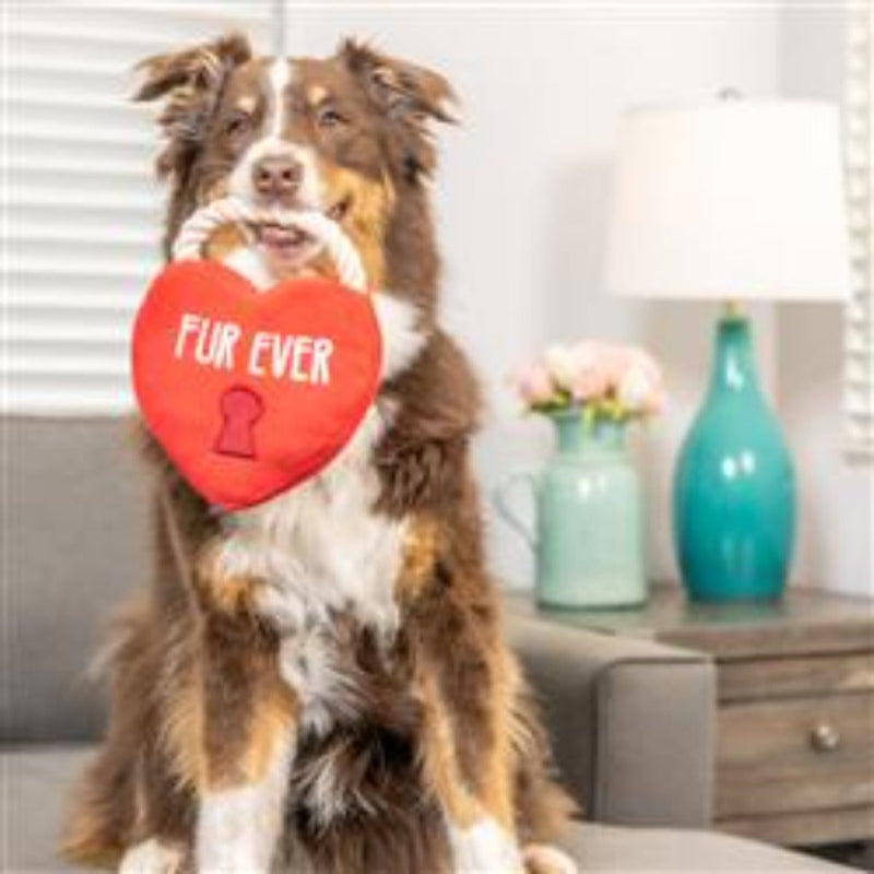 Fur Ever Lock Red Heart Plush Dog Toy