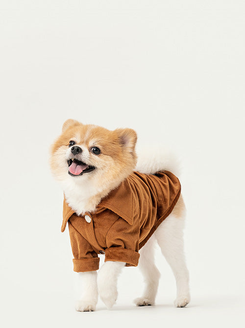 Stainway Shirt Orange Dog Apparel Premium Pet Supply Premium - main product image