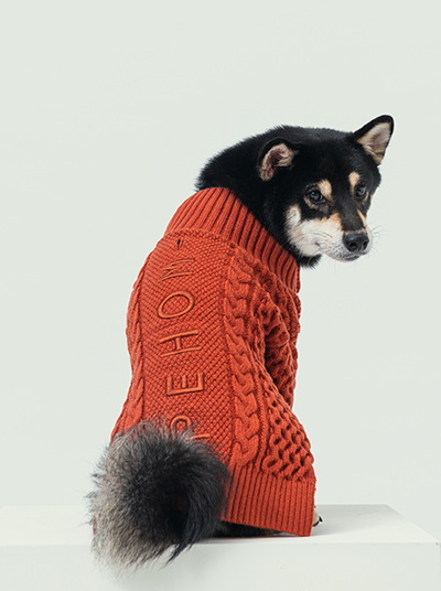 Bert Cardigan Sweater Orange Dog Apparel Premium Pet Supply - detail view