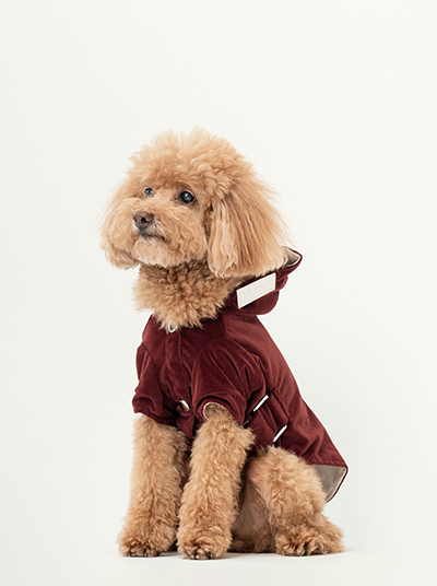Huston Hoodie Dark Burgundy Dog Apparel Premium Pet Supply - main product image