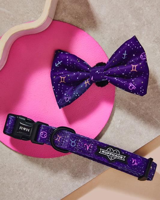 Zodiac Drip Dog Collar & Bowtie