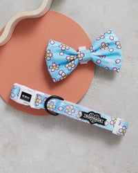 Smiling Sakura Dog Collar & Bowtie