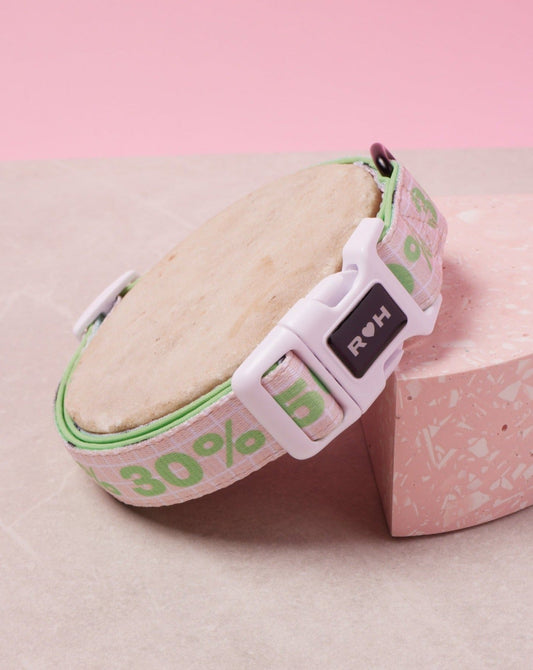 Matcha Sugar Level Dog Collar