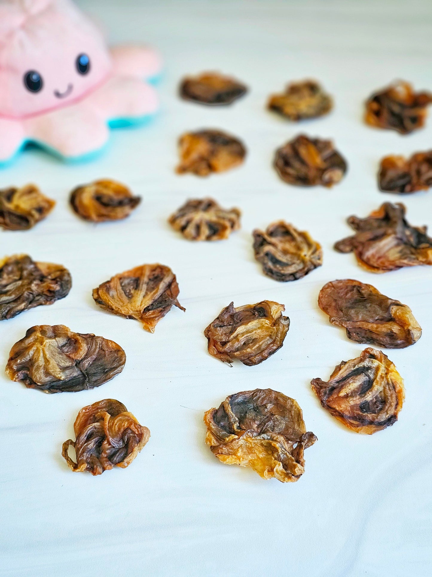 Naked Beasts Gourmet Wild Caught Octopus Dog Treats 5oz Bag