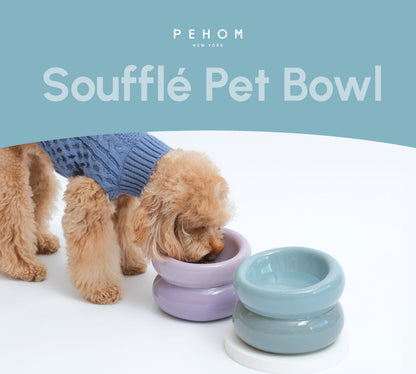 Ceramic Elevated Pet Bowl Ergonomic Dining for Cat and Dog