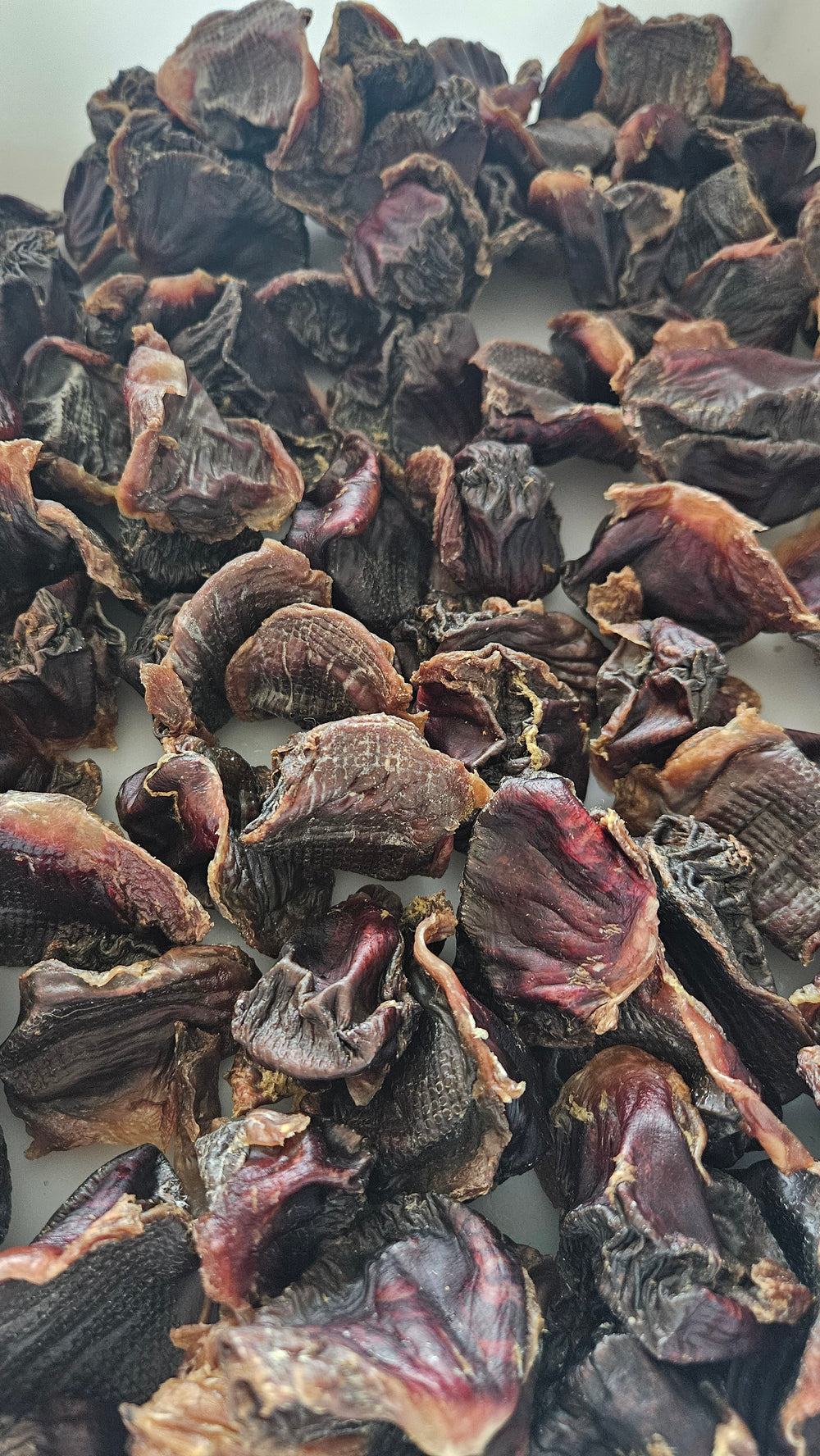 Dehydrated Turkey Gizzards for Cats & Dogs — 100% Single