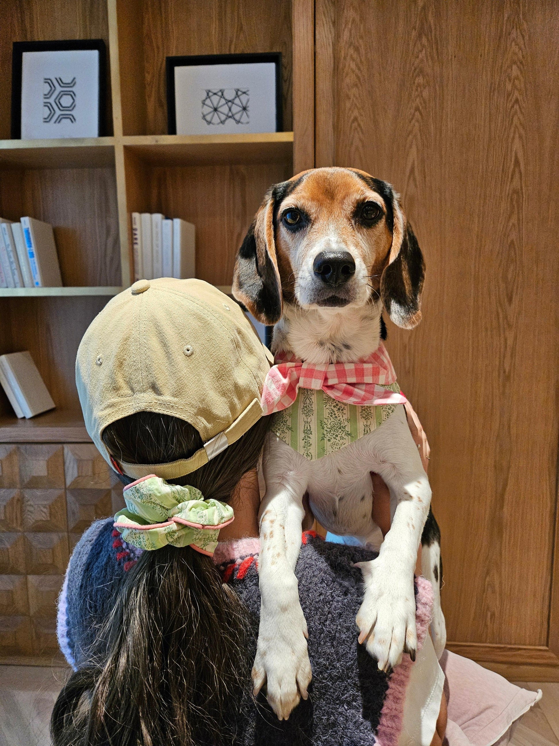Picnic Bliss Floral Gingham Print Bandana - Dog Bandana - BarkBarkBaby