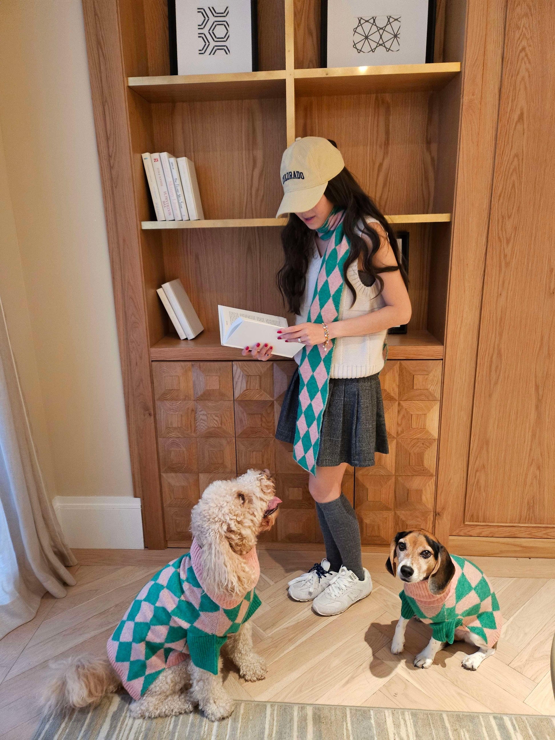 Sunday Brunch in Brooklyn Sweater - Dog Sweater - BarkBarkBaby