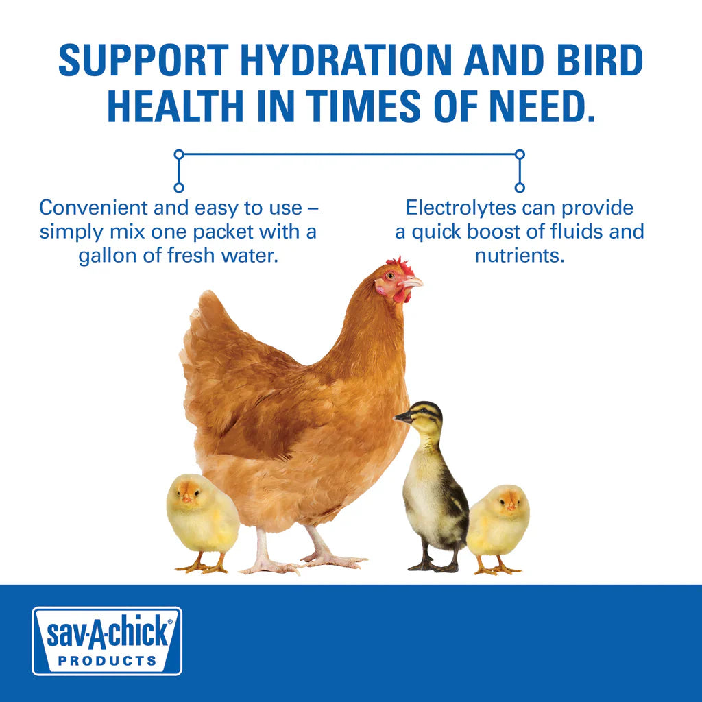 Bird Supplement-Sav-A-Chick Poultry Vitamins & Electrolytes 9pk