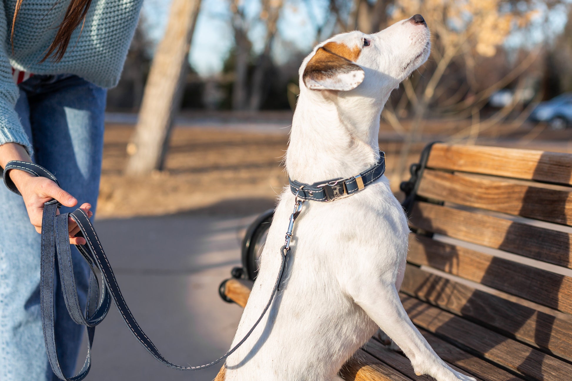 Dog Collar Pro Line Quick-Release Blue Jeans Leather Collar - size and texture image for dog collar