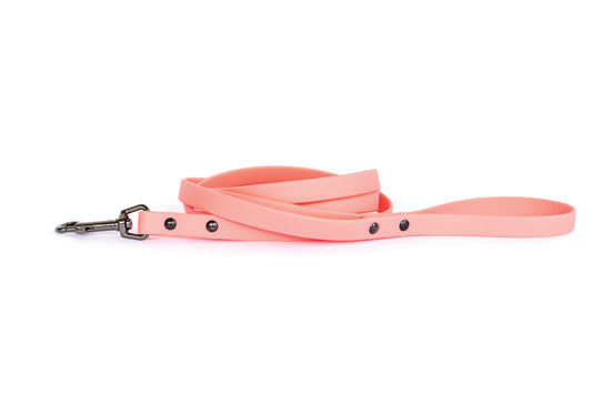 Waterproof Coral Reef Super Soft PVC Dog Leash - Dog Leashes - Euro - Dog Collars and Leads - M 5/8" Width 6' Length - Coral Reef - sku - 44283640119492