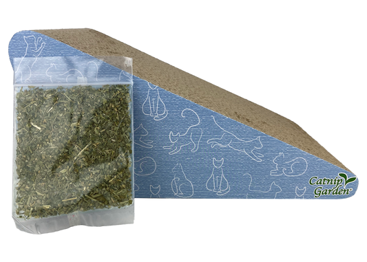 Multipet Catnip Garden®  Scratcher w/ Catnip - Catnip Toy - The Family Pet