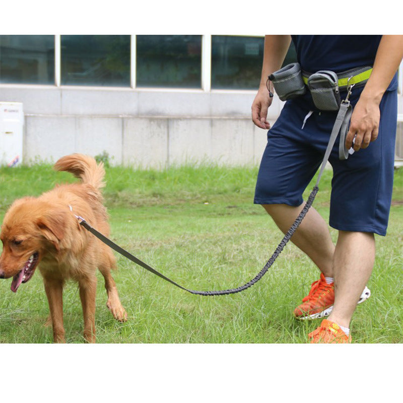 Premium Hands Free Adjustable Dog Leash For Active Walkers