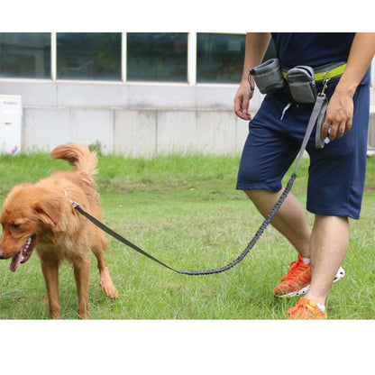 Premium Hands Free Adjustable Dog Leash For Active Walkers