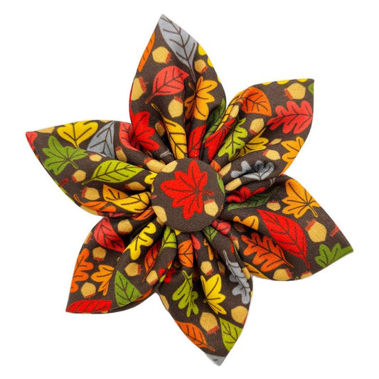 Fall Season Leaves & Nuts Pinwheel Pet Collar Attachment - 2 Sizes