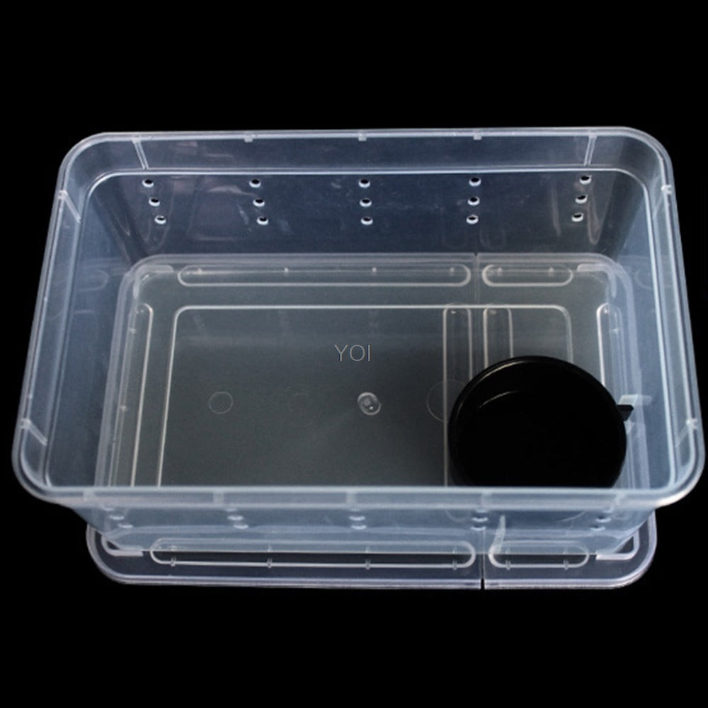 Reptile Feeding Box - Transparent Plastic Habitat Tank