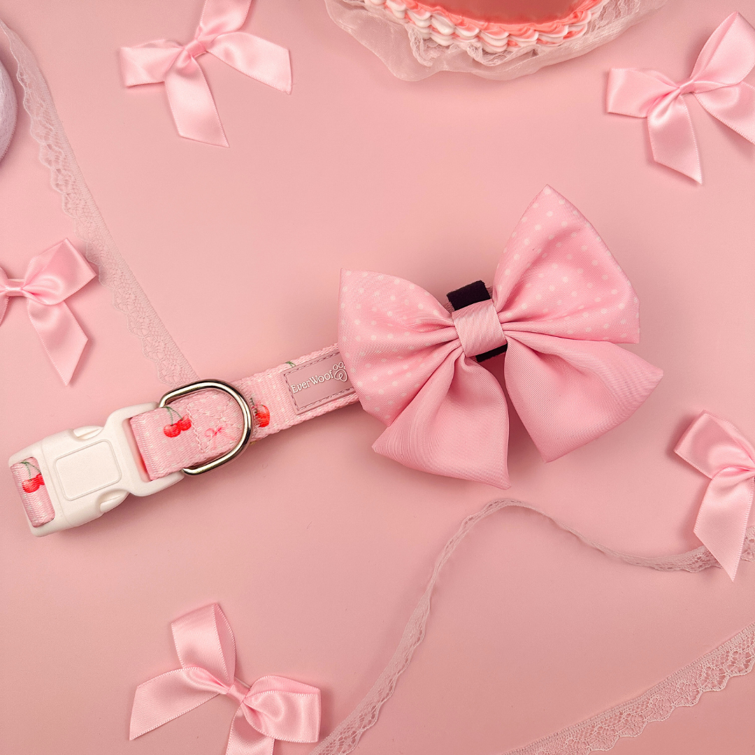 Purrfect Pet Kingdom Dog Collar - Sweet Chérie