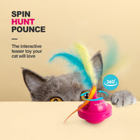 Modern Cat Spinning Teaser Toy