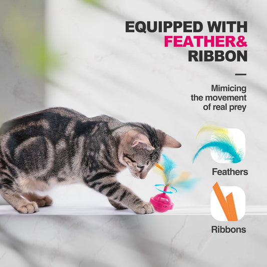 Modern Cat Spinning Teaser Toy
