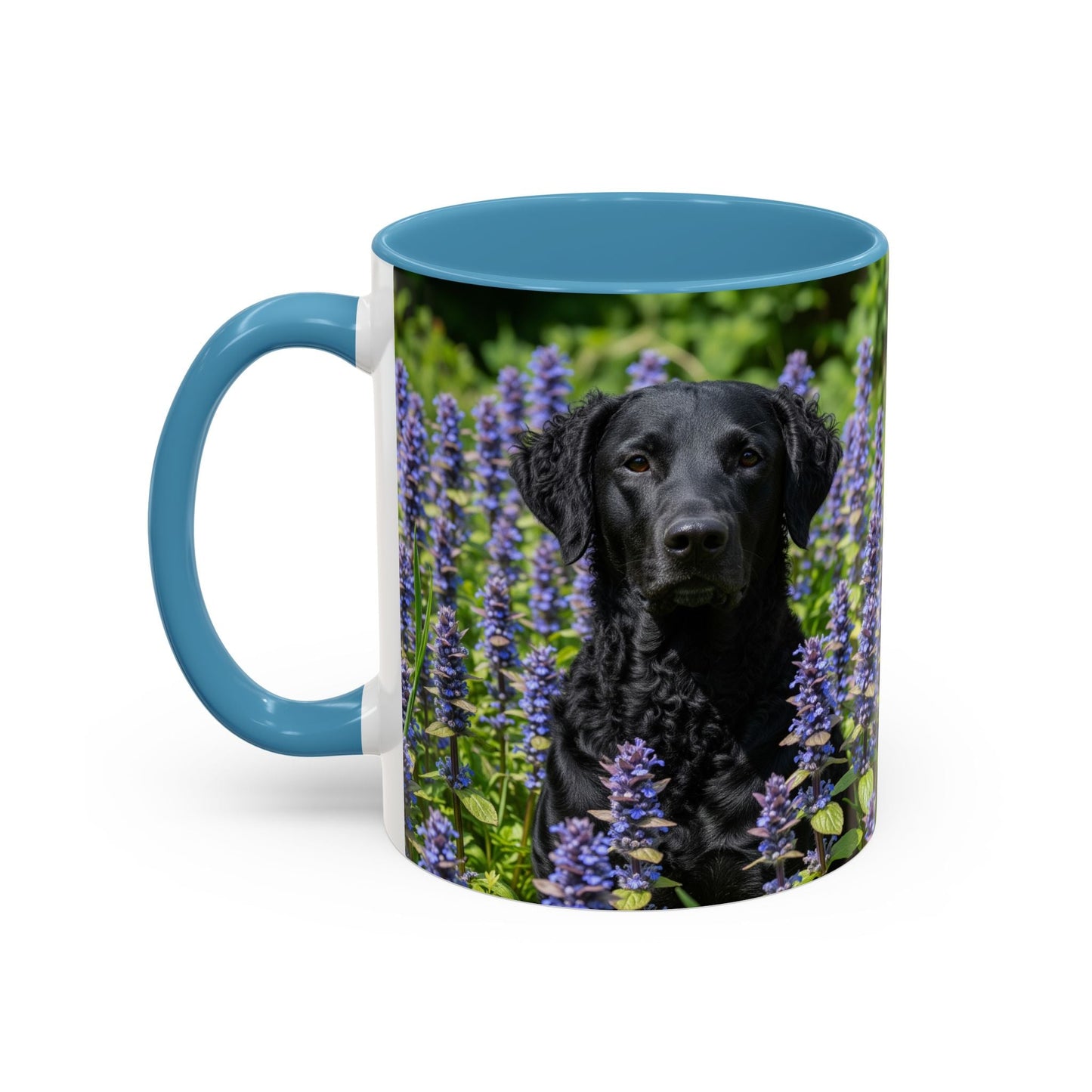 Curly Coated Retriever Accent Coffee Mug - Perfect Gift for