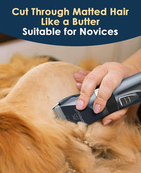 Cat Clippers for grooming