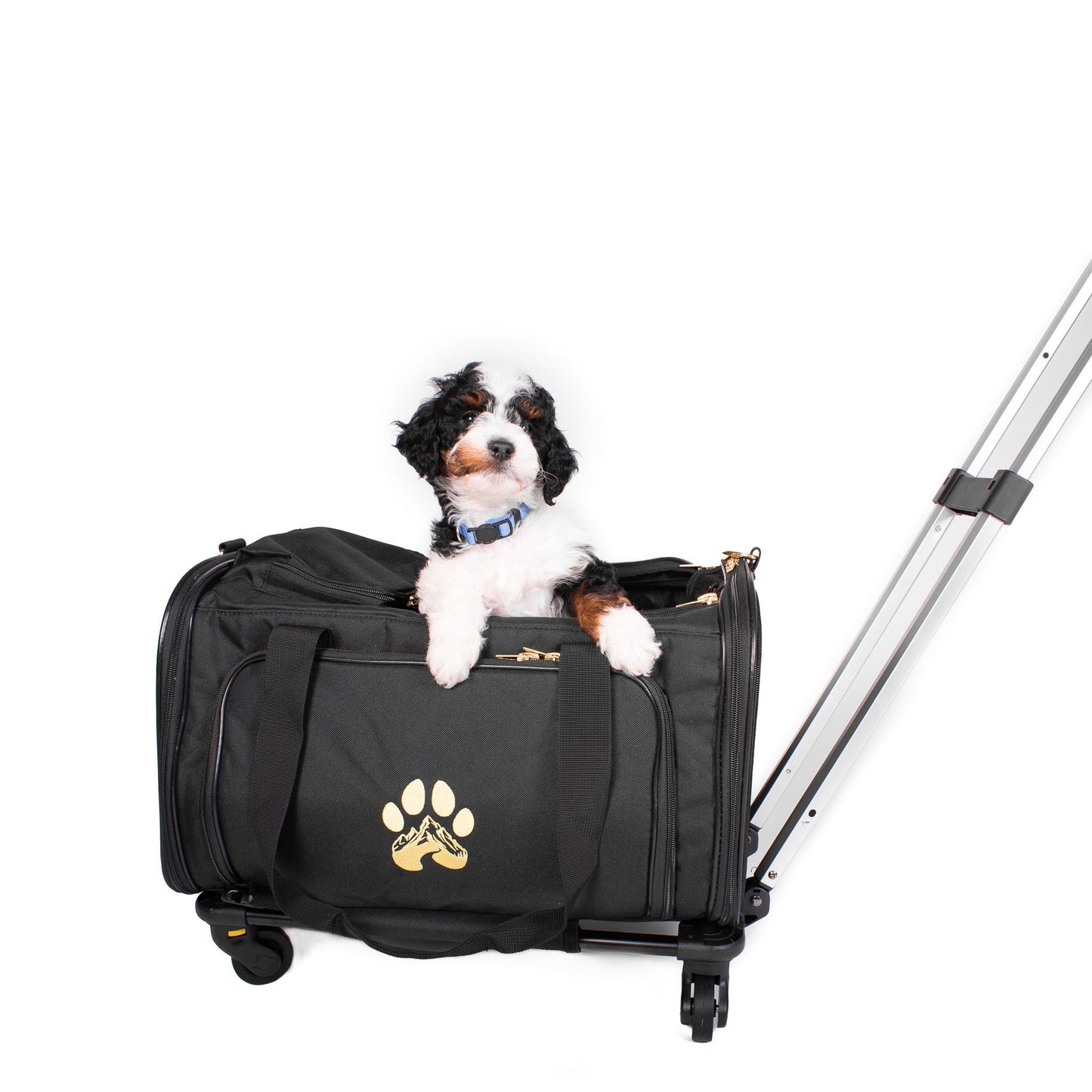 Air Pup Travel Carrier - Car Crates - Wasatch Pup