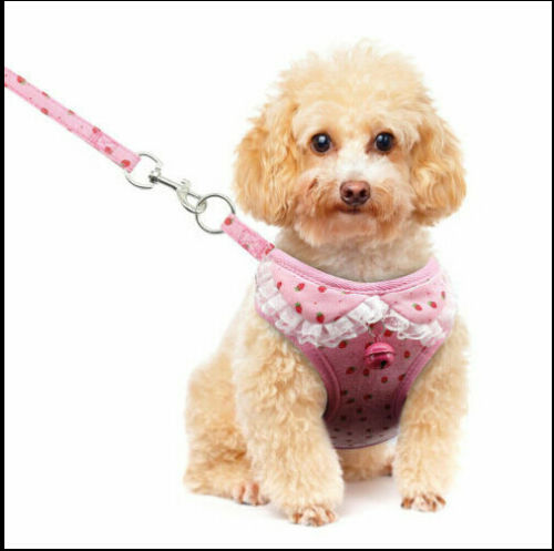 Pet Cute Chest Strap Breathable Tank Top Style Dog