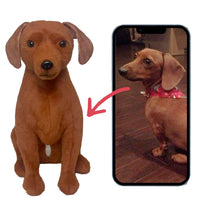 Custom Stuffed Pet ? Realistic Plush Memorial Gift Keepsake