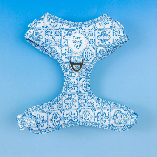 Pet Harness Harness Santorini Adjustable Harness for Comfort - main product image for pet harness