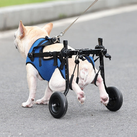 Dog Mobility Wheelchair Support Aid Adjustable Classic Premi - main product image